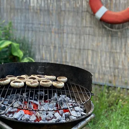 Casa Tudorascu Vama Veche