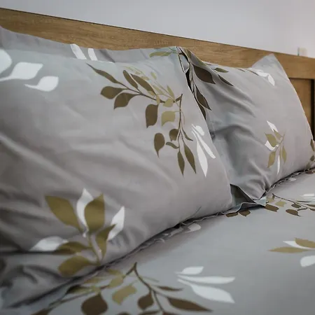 Casa Tudorascu Casa de hóspedes