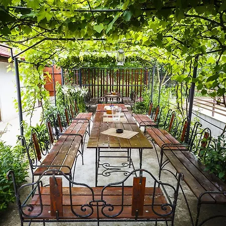 Casa Tudorascu Vama Veche