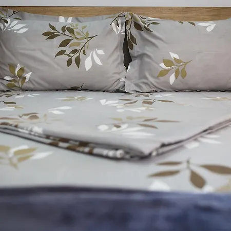 Casa Tudorascu Vama Veche