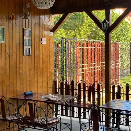 Πανσιόν Casa Tudorascu Vama Veche