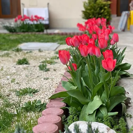 Πανσιόν Casa Tudorascu