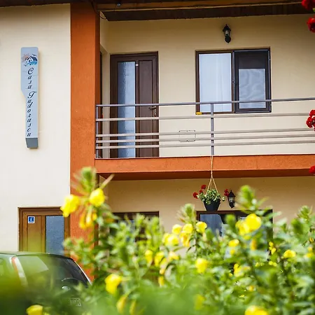 Πανσιόν Casa Tudorascu Vama Veche