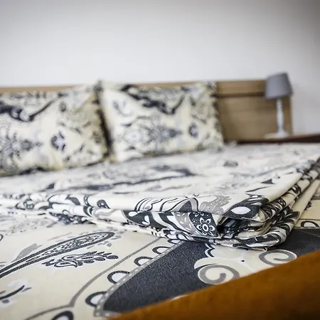 Πανσιόν Casa Tudorascu